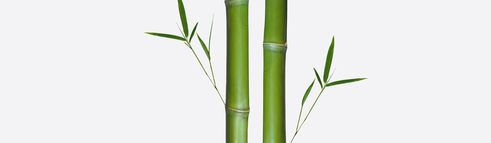 Hey Girls Natural Bamboo & Corn Fibre Disposable Overnight Pads